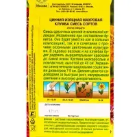 Семена цветов Цинния Махровая клумба, смесь сортов , Ц/П,12 шт. Семена цветов Цинния Махровая клумба, смесь сортов , Ц/П,12 шт.