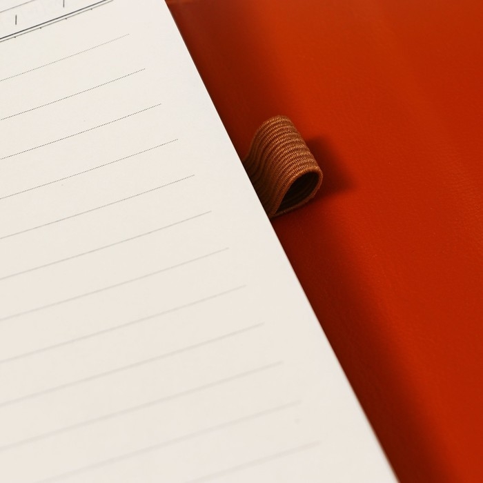 Органайзер на кольцах А6+, 80 листов, кожзам, c клапаном, линия, с ручкой, в подарочной коробке, коричневый Органайзер на кольцах А6+, 80 листов, кожзам, c клапаном, линия, с ручкой, в подарочной коробке, коричневый