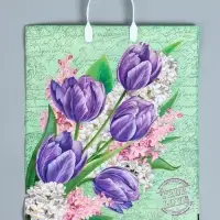 Пакет &laquo;Беатрис&raquo;, полиэтиленовый с пластиковой ручкой, 100 мкм 40&times;44 см