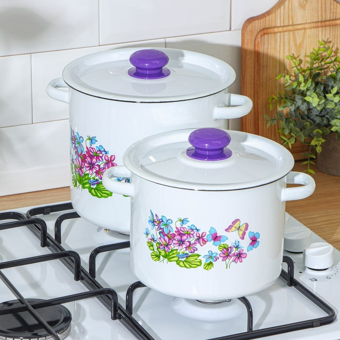 Набор кастрюль «Фиалка», 2 предмета: 3.5 л, 5.5 л, индукция, цвет МИКС Набор кастрюль «Фиалка», 2 предмета: 3.5 л, 5.5 л, индукция, цвет МИКС