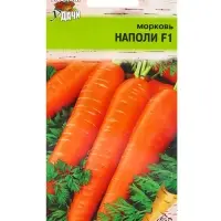 Семена Морковь &laquo;Наполи&raquo;, F1, 0.2 г, &laquo;Урожай удачи&raquo;