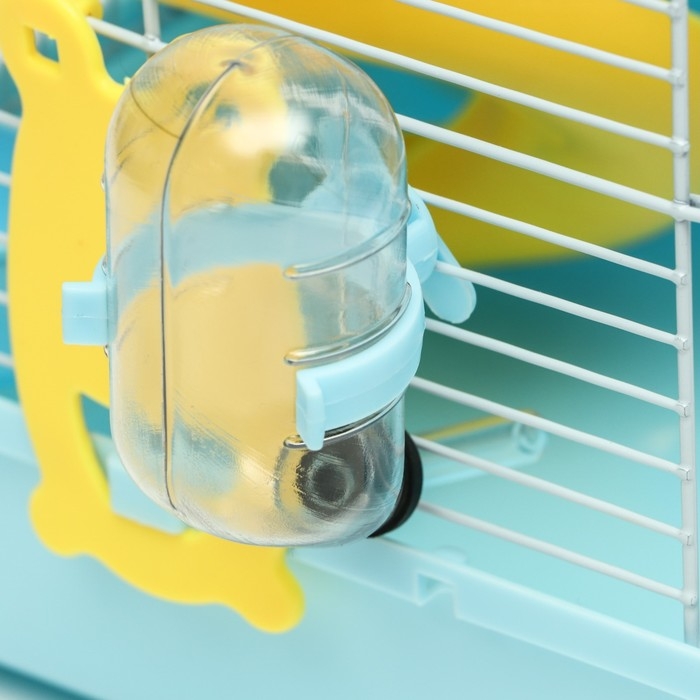 Клетка для грызунов Клетка для грызунов "Пижон", укомплектованная с замком, 27 х 21 х 31 см, голубая