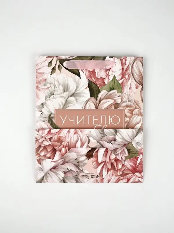 Подарочный набор &laquo;Учителю с любовью&raquo;, пакет и открытка,  ML 27 &times; 23 &times; 11,5 см