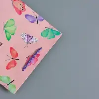 Пакет подарочный "Крылья счастья" ламинированный 18 х 22,3 х 10 см