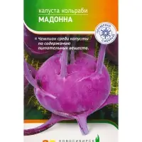 Семена Кольраби "Мадонна" 0,3 г Семена Кольраби "Мадонна" 0,3 г