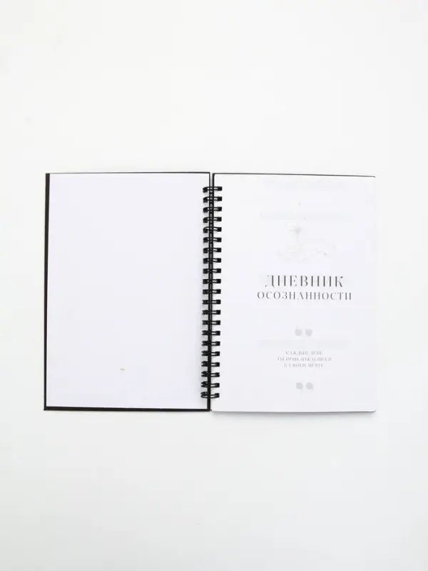 Дневник осознанности в тв. обл. А5, 86 л Дневник осознанности в тв. обл. А5, 86 л "Я могу. Делаю"