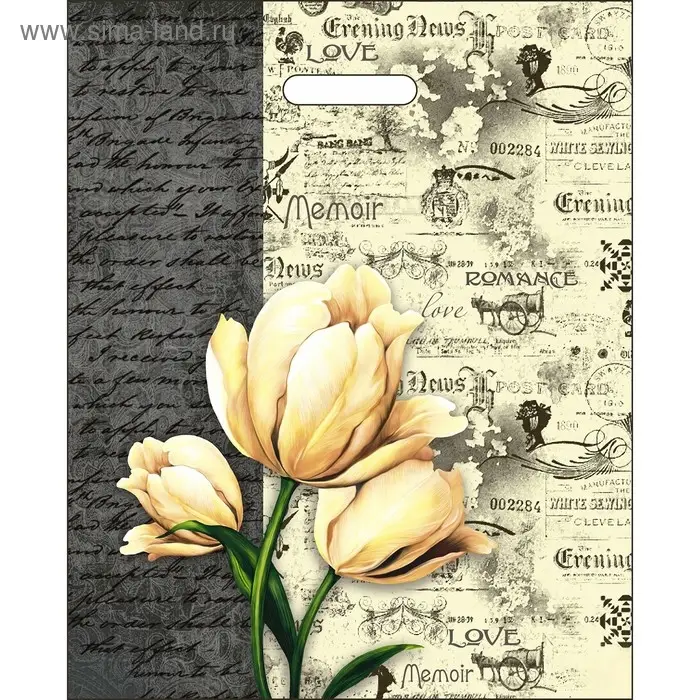 Пакет Пакет "Мемуары", полиэтиленовый, с вырубной ручкой, 38 х 47 см, 60 мкм