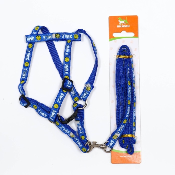 Комплект амуници Комплект амуници "Смайлик", ширина 1 см, поводок 120 см, шлейка 26-38 см, синий