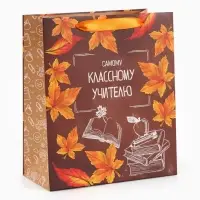 Пакет подарочный ламинированный &laquo;Учитель года&raquo;, ML 27&times;23&times;11.5 см