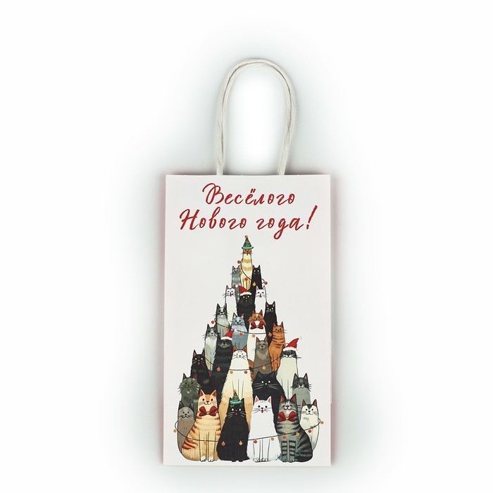 Пакет подарочный новогодний крафтовый «Весёлого нового года», 12 х 9 х 21 см Пакет подарочный новогодний крафтовый «Весёлого нового года», 12 х 9 х 21 см