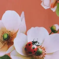 Пакет подарочный ламинированый "Гармония" 11,5 х 14,5 х 6,5 см