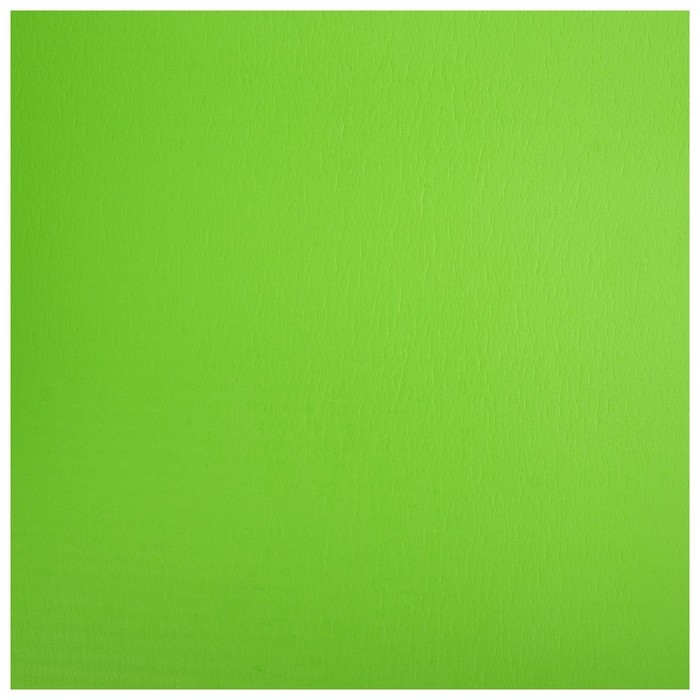 Коврик для йоги Sangh, 183×61×1,5 см, цвет зелёный Коврик для йоги Sangh, 183×61×1,5 см, цвет зелёный