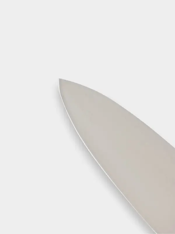 Нож Professional Master для мяса, длина лезвия 20 см
