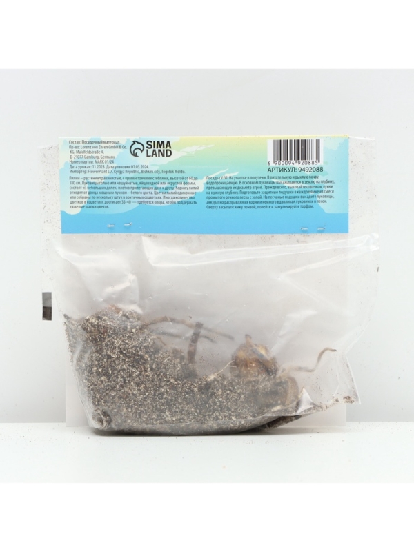 Лилии видовые Zeba, луковица в пакете с перфорацией, р-р 12/14, 2 шт.