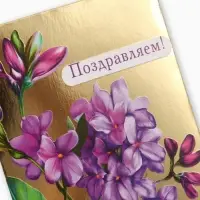 Конверт для денег &laquo;Поздравляем!&raquo;, сирень, 16,5 х 8 см