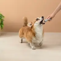 VETTA Игрушка для домашних животных, ТПР, 12 см