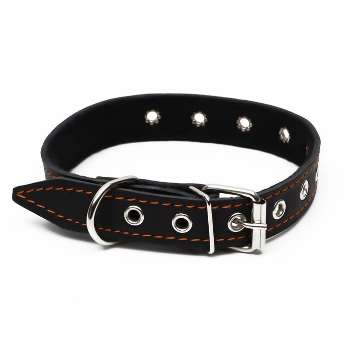 Ошейник кожаный на синтепоне, безразмерный, 54 х 2,5 см, ОШ 19-47 см, чёрный Ошейник кожаный на синтепоне, безразмерный, 54 х 2,5 см, ОШ 19-47 см, чёрный