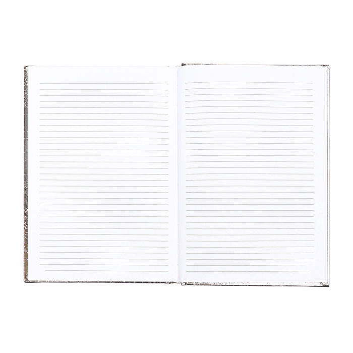 Ежедневник датированный 2025 A5 168 листов, Attomex. Arkona, твердая обложка, бумвинил с поролоном, ляссе,блок 70, серый Ежедневник датированный 2025 A5 168 листов, Attomex. Arkona, твердая обложка, бумвинил с поролоном, ляссе,блок 70, серый