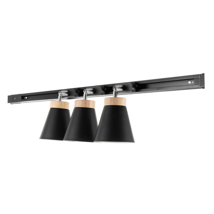 Спот Спот "Риген" 3хЕ27 40Вт черный 100х17х12 см