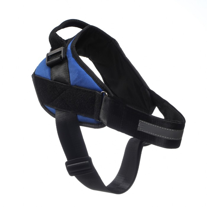 Шлейка К9 мягкая светоотражающая, размер ХL, ОГ 80-95 см, вес 30-45 кг, синяя Шлейка К9 мягкая светоотражающая, размер ХL, ОГ 80-95 см, вес 30-45 кг, синяя