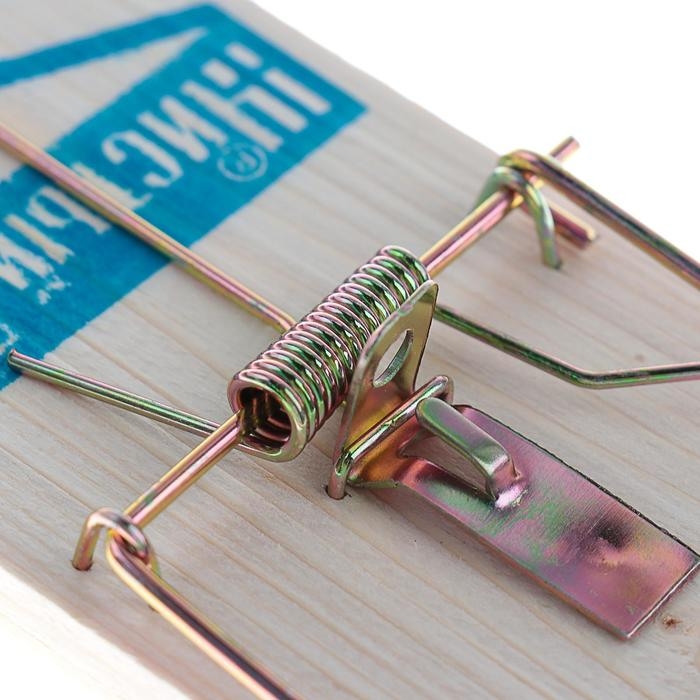 Мышеловка Чистый дом Мышеловка Чистый дом