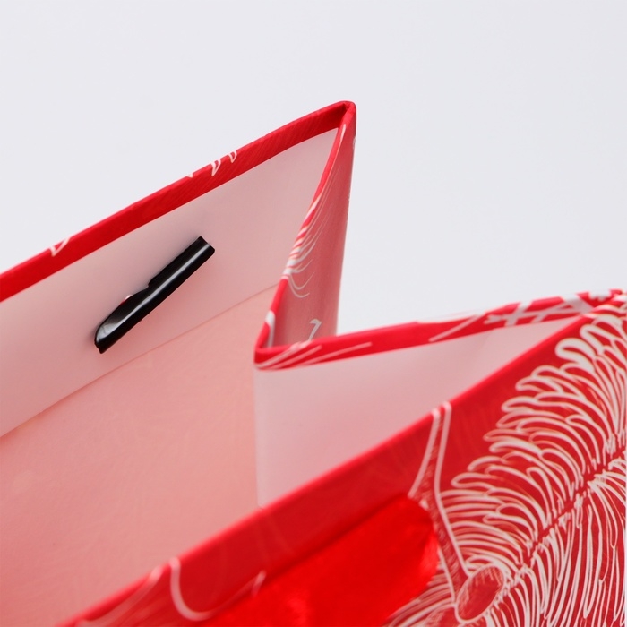 Новый год. Пакет подарочный новогодний под бутылку «Перья», 13 x 36 x 10 см. Новый год. Пакет подарочный новогодний под бутылку «Перья», 13 x 36 x 10 см.