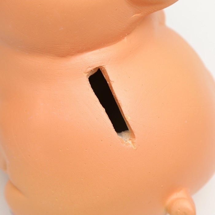 Копилка Копилка "Поросенок на деньгах" МИКС 11см