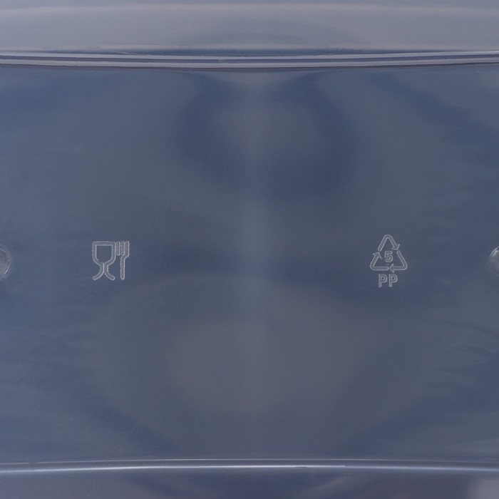 Контейнер для хранения с крышкой, 4 л, 29×19×13 см, цвет салатовый Контейнер для хранения с крышкой, 4 л, 29×19×13 см, цвет салатовый