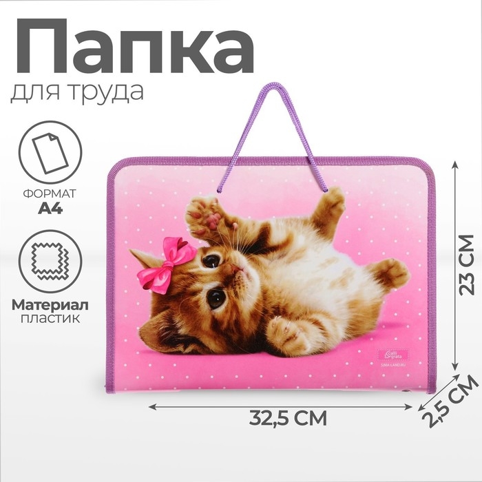 Папка для труда А4 с ручками, 325 х 230 х 25 мм, молния вокруг, откидная планка, пластиковая, ПТР-6 Calligrata  Папка для труда А4 с ручками, 325 х 230 х 25 мм, молния вокруг, откидная планка, пластиковая, ПТР-6 Calligrata "Самая милая"