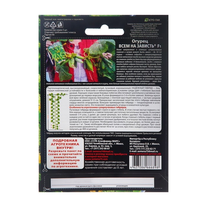 Семена огурца Семена огурца "Всем на Зависть", F1, 5 шт.