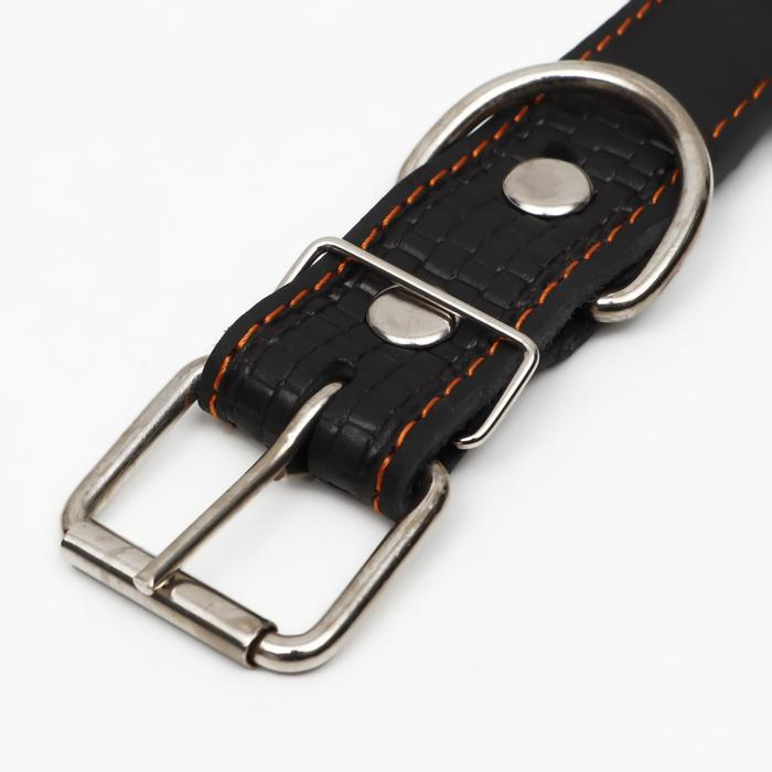 Ошейник кожаный с тиснением на синтепоне, 70,5 х 3.5 см, ОШ 45-60 см, чёрный Ошейник кожаный с тиснением на синтепоне, 70,5 х 3.5 см, ОШ 45-60 см, чёрный