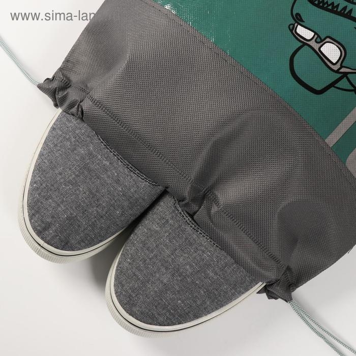 Мешок для обуви &laquo;Динозавр&raquo; 30 х 40 см