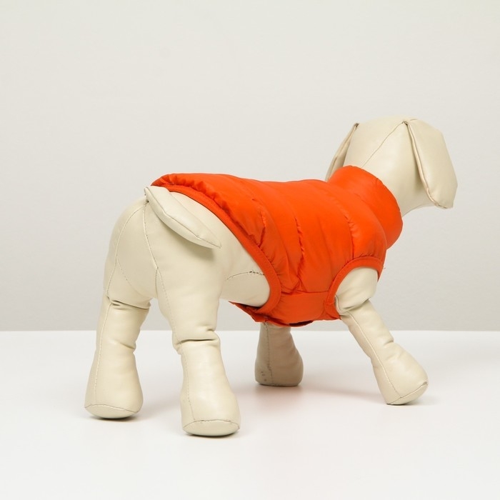 Куртка для собак двухстороння с принтом,  размер 8 (ДС 23 см, ОГ 30, ОГ 22 см), коралловая Куртка для собак двухстороння с принтом,  размер 8 (ДС 23 см, ОГ 30, ОГ 22 см), коралловая