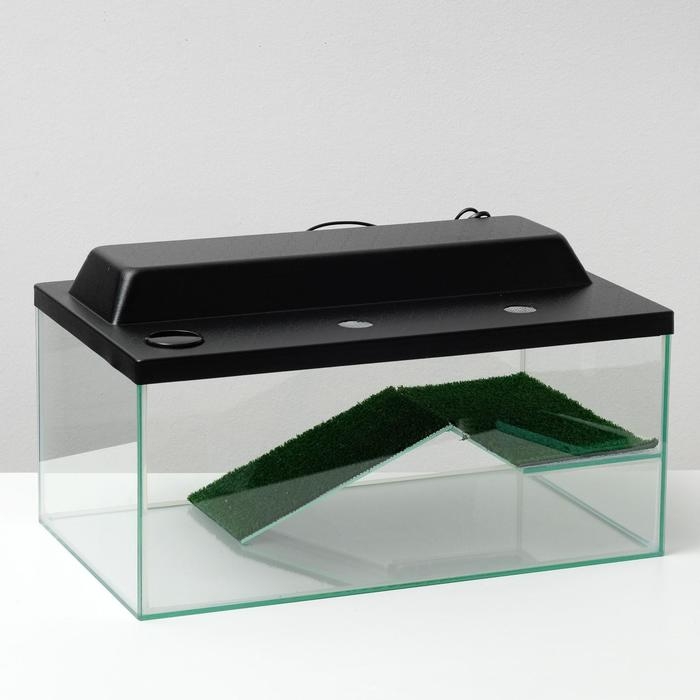 Террариум для черепах 45 литров, с крышкой, полкой и лесенкой, 55 х 33 х 25 см Террариум для черепах 45 литров, с крышкой, полкой и лесенкой, 55 х 33 х 25 см