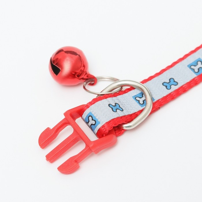 Ошейник Ошейник "Кость" светоотражающий, 31 х 1 см, красный