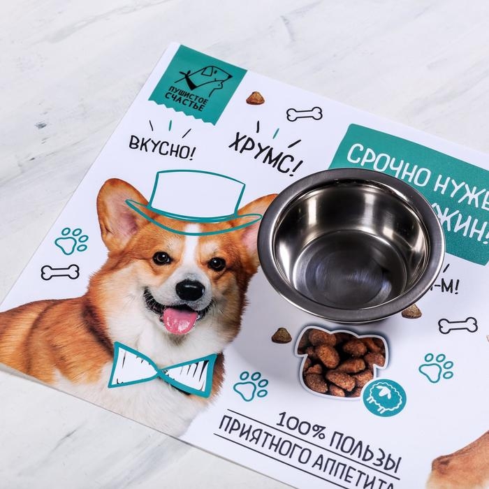 Коврик под миску «Срочно нужен обед и ужин» 43х28 см Коврик под миску «Срочно нужен обед и ужин» 43х28 см