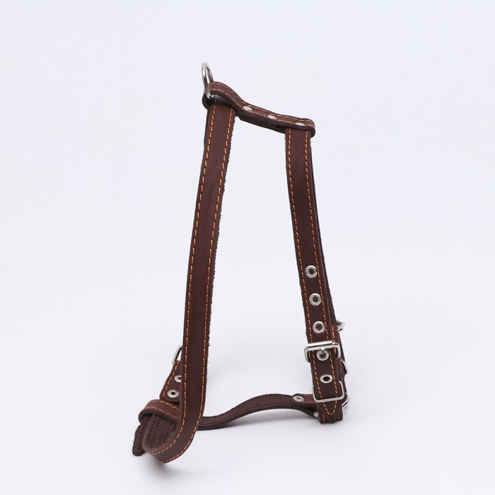 Шлейка кожаная Шлейка кожаная "Прогулочная", 2 см, ОШ 46-58 см, ОГ 78-85 см, коричневая