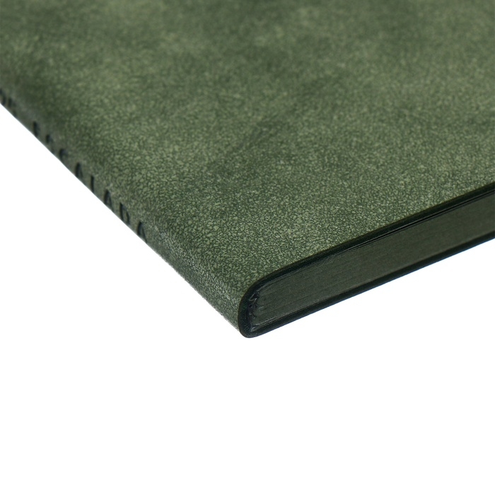 Еженедельник датированный 2025 года, 80х165 мм, 64 листа ESCALADA, мягкая обложка из искусственной кожи, блинтовое тиснение, блок 70 г/м², зелёный Еженедельник датированный 2025 года, 80х165 мм, 64 листа ESCALADA, мягкая обложка из искусственной кожи, блинтовое тиснение, блок 70 г/м², зелёный