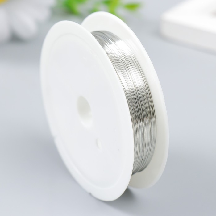 Проволока для творчества  Проволока для творчества "Astra" 0,3 мм, 10 м, серебро