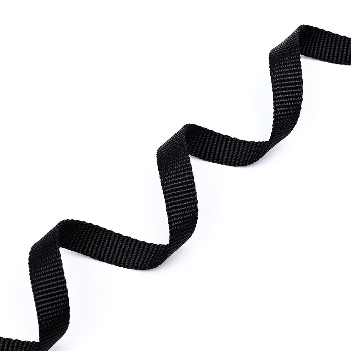 Поводок капроновый, 120 х 1,5 см, чёрный Поводок капроновый, 120 х 1,5 см, чёрный