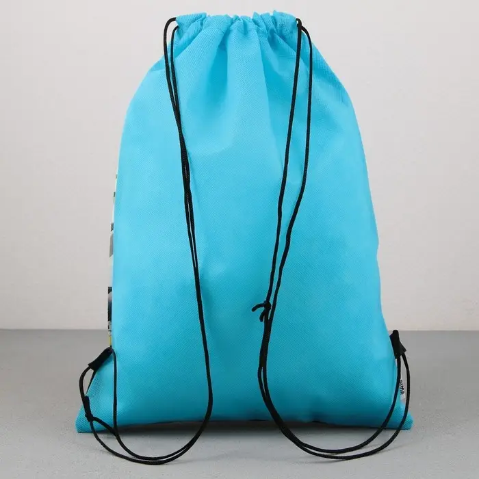 Мешок для обуви, Dinotime, (нетканый материал) 41&times;30 см