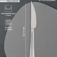 Нож столовый Magistro Workshop, длина 22.5 см, нержавеющая сталь, серебристый