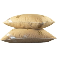 Подушка стеганная 50х70 SKY LINE (верблюд,тик), сумка