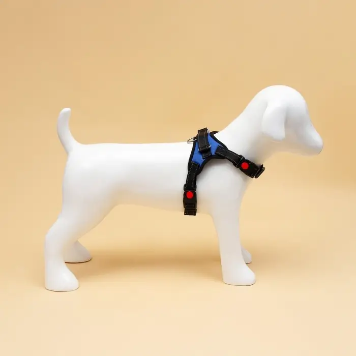 Шлейка К7, размер S, ОГ 44-55 см, вес 5-9 кг, мягкая, светоотражающая, синяя