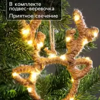 Ёлочная игрушка &laquo;Олень&raquo; 14&times;11&times;1 см, подвеска, 20 LED, от батареек AG13&times;3, свечение тёплое белое