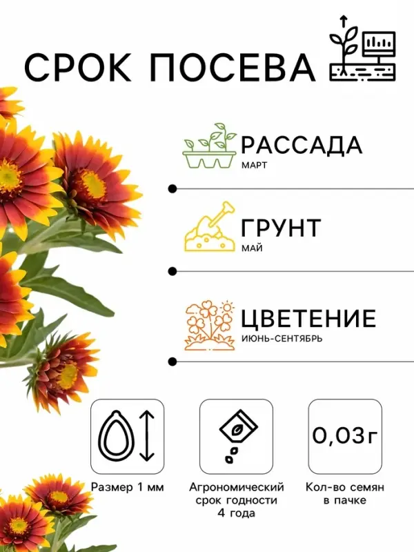 Семена цветов Гацания &laquo;Нью Дэй Пинк Шейдс&raquo;, F1, для балкона, веранды, цветника, однолетник, низкорослая0.03 г