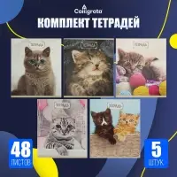 Тетради 48 листов в клетку, Calligrata &laquo;Милые котята&raquo;, серые листы, 5 штук