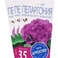 Набор семян комнатных Пеларгония &laquo;Виолет&raquo;, 3 шт.