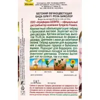 Семена цветов Бегония Бада бум F1 роза биколор (драже в пробирке) Спецсерия Syngenta, Ц/П,5 шт. 109 Семена цветов Бегония Бада бум F1 роза биколор (драже в пробирке) Спецсерия Syngenta, Ц/П,5 шт. 109