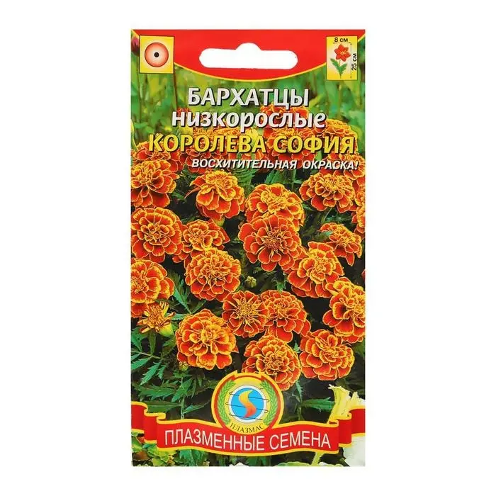 Семена Бархатцы отклоненные  Семена Бархатцы отклоненные "Королева София", низкорослые, 45 шт